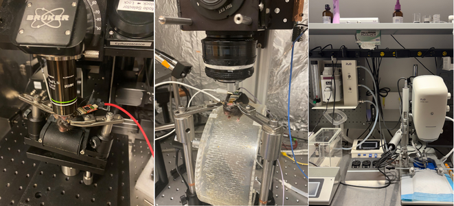 From left to right: a Bruker two-photon microscope for deep tissue imaging, a one-photon fluorescence microscope for cellular imaging, and a mouse stereotaxic surgery system with isoflurane anesthesia for precise neurosurgical procedures.